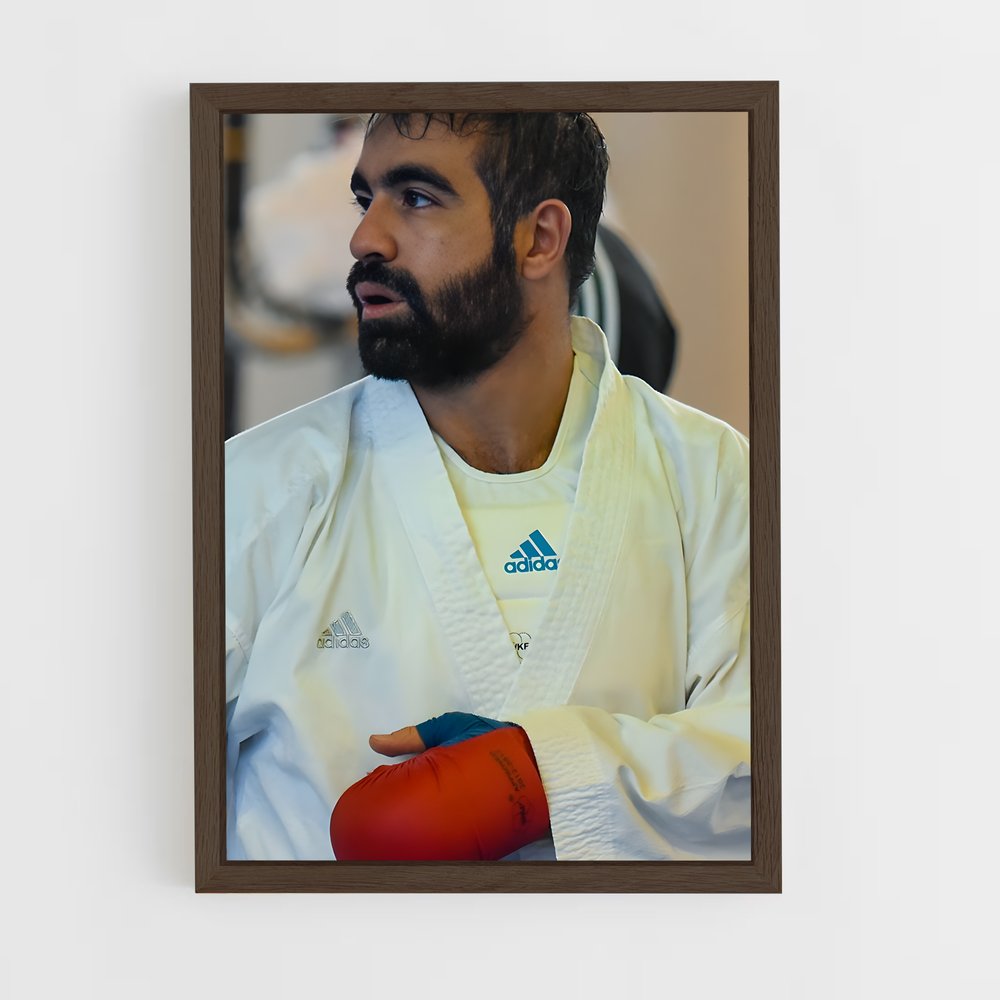 Poster Rafael de aghayev – affiche Karaté (vue 5)